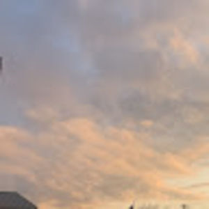 Meet your Posher, Haven